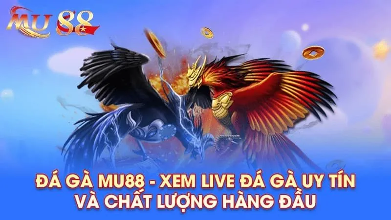Các hình thức đá gà trực tiếp phổ biến tại MU88
